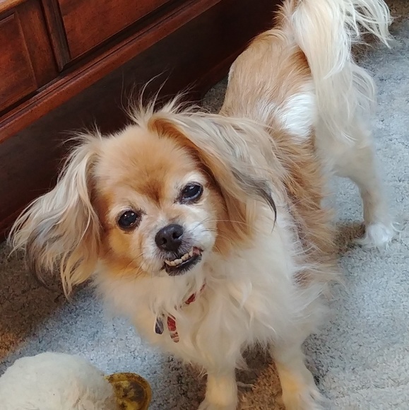 Meet your Posher, Kris - Picture 1 of 1